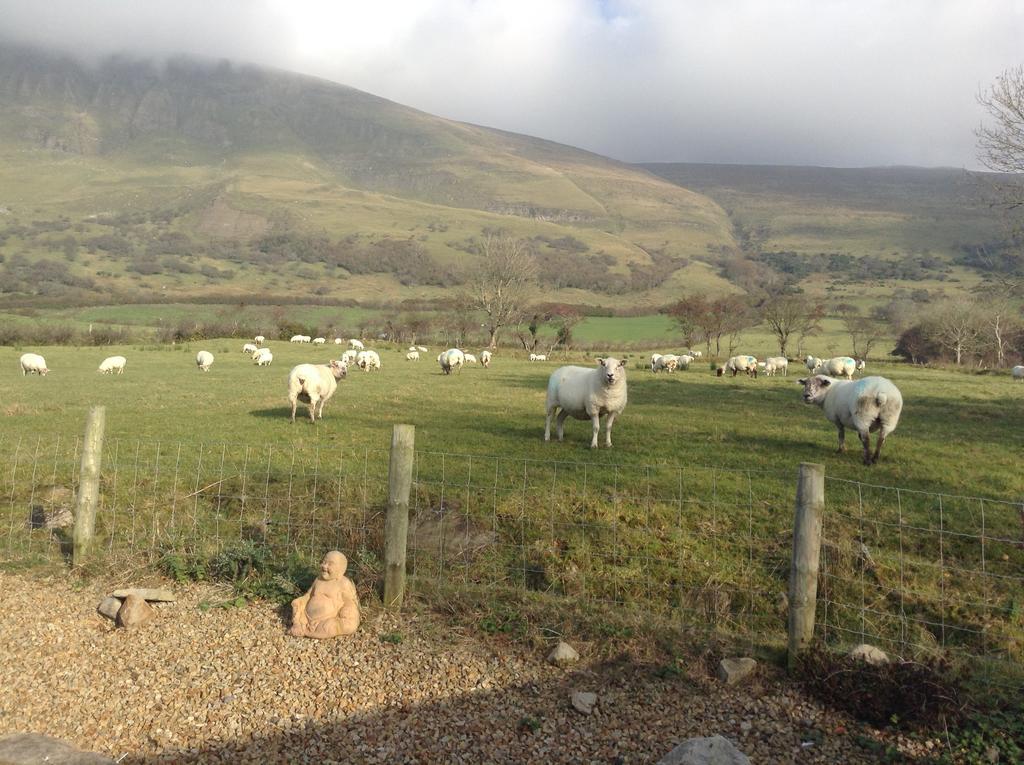 Benbulben Farmhouse B&B Drumcliff Exterior foto